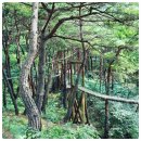 화양황토빌리지 이미지