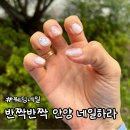 반짝반짝 안양젤네일 :: 네일하라 이달의 아트