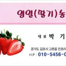 영일농장 이미지