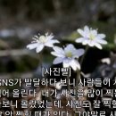 사진빨
