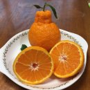 태경농원 이미지