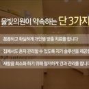 물빛피부과의원 이미지