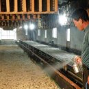 김영칠농장 이미지