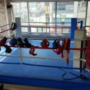 산남 패밀리 복싱 GYM 이미지