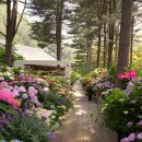 퐁실퐁실 이미지