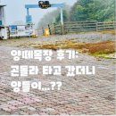 ㈜월드평화관광 | [비발디파크] 오션월드 이튿날! 곤돌라 타고 하늘양떼목장에서 힐링한 솔직 후기