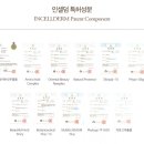 인셀덤뷰티풀 - 완주군 역참로 25 | 인셀덤뷰티풀