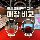 통큰안경 | 블루엘리펀트 제주 칠성점 후기｜선글라스·안경 가격, 블루엘리펀트 매장 비교