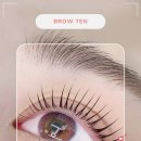 브로우텐 이미지