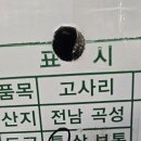 곡성-038 Daum카페