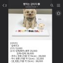 빵먹는 강아지 이미지