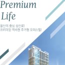 삼산로 이미지