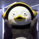 필라테스폼 - 서귀포시 신서로48번길 52 | 필라테스폼