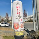 미스터활전복 이미지
