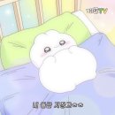 꽃지아라 | 태안 펜션추천 꽃지아라 가성비 좋고 깔끔한 펜션