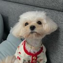 삼서리 이미지