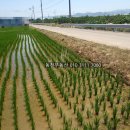 동읍1230 이미지