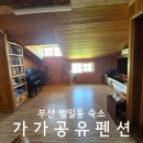 가가펜션 | 부산 동구 범일동 애견동반숙소 가가공유펜션 편백독채 내돈내산 후기