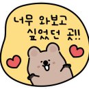 하버드카라반 이미지