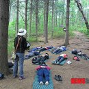 청태산 치유의 숲 이미지