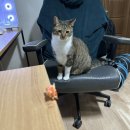 해동상회 이미지