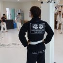 칼슨그레이시 코리아 이미지