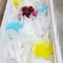 광적장례식장