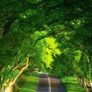 야곱목장 이미지