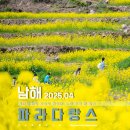 두모유채꽃메밀꽃단지