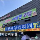 서현애견미용실 | (성남, 애견미용, 추천!) 서현애견미용실 서현애견미용실, 맞춤 케어가 강점