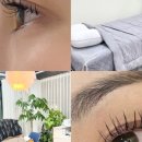 퓨어림 이미지
