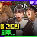 예나갤러리 이미지