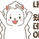 슈퍼텐트칼라 이미지