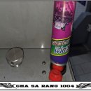 차사랑1004
