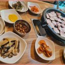 동강자연속으로 이미지