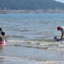 왕산해수욕장 이미지