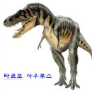 공룡의 꼬리 길이를 비교하는 방법 / 가위, 바위, 보! (20120312) 이미지