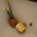 스테이 수 펜션 이미지