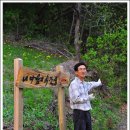 이정표농장 이미지