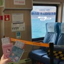 대마도 배멀미 파도 파고 확인하는 방법 쓰시마링크호 상세 탑승 후기