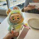 크라운호프 부산학장점 | 일광 솔라레오 후기!