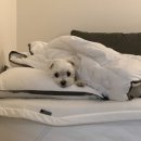 오브희헤어 | 싫은 계절 3