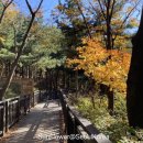 호암늘솔길 화장실 이미지