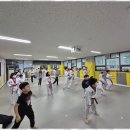 멘토태권도교육관 이미지