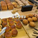 보성광고 | [전라남도/보성] 베이커리 카페 율포 빵명장 방문 후기