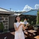 제주첫날두근 | [풀빛] 제주 내돈내산 숙소 추천