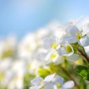 봄정신건강의학과의원 이미지