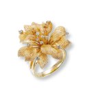 골드플라워 (GOLD FLOWER) 이미지