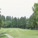 그랜드골프클럽 이미지