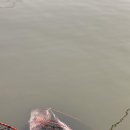 선재낚시공원 이미지